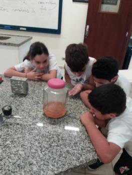 Decantação e Filtração - 4º ano B