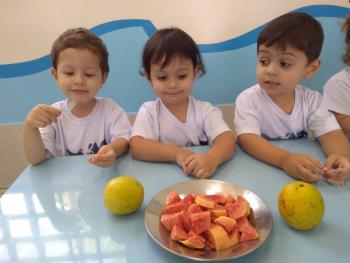 Projeto Frutas - Maternal I