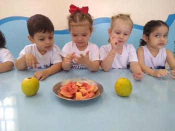 Projeto Frutas - Maternal I