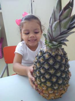 Projeto Frutas - Maternal I