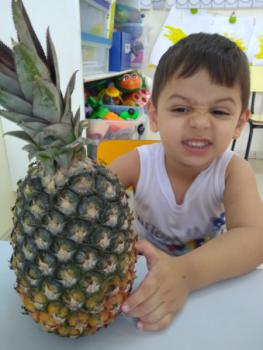 Projeto Frutas - Maternal I