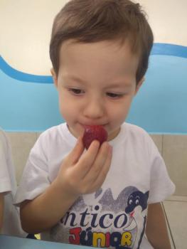 Projeto Frutas - Maternal I (parte 2)