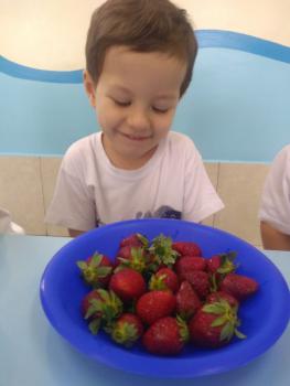 Projeto Frutas - Maternal I (parte 2)