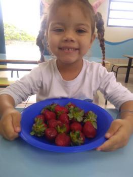 Projeto Frutas - Maternal I (parte 2)