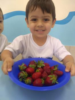 Projeto Frutas - Maternal I (parte 2)