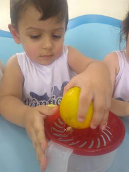 Projeto Frutas - Maternal I (parte 2)