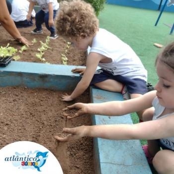 Maternal I - Cultivo e Cuidado da Horta