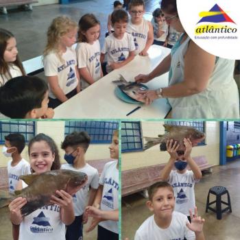 Animais Vertebrados - 3º ano