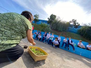 Terrário 1º ano