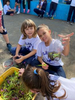 Terrário 1º ano