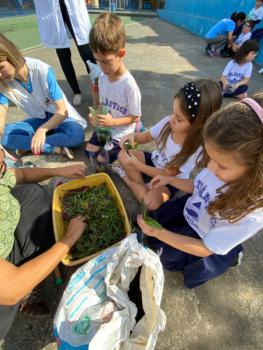 Terrário 1º ano