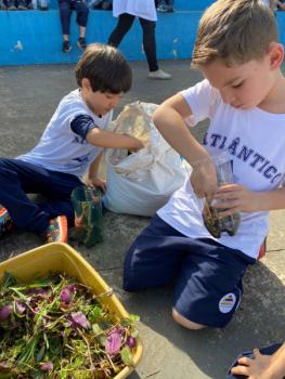 Terrário 1º ano