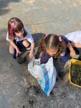 Terrário 1º ano