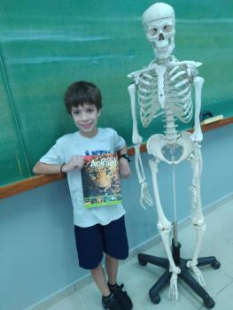 Animais Vertebrados - 3ºano B