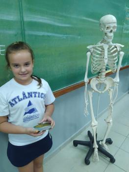 Animais Vertebrados - 3ºano B