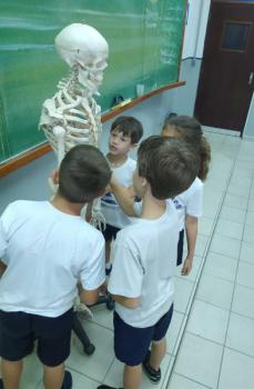 Animais Vertebrados - 3ºano B