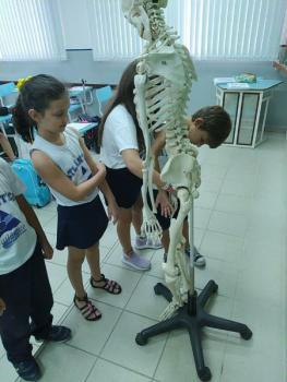 Animais Vertebrados - 3ºano B