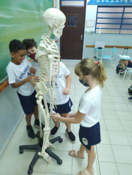 Animais Vertebrados - 3ºano B