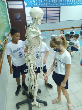 Animais Vertebrados - 3ºano B