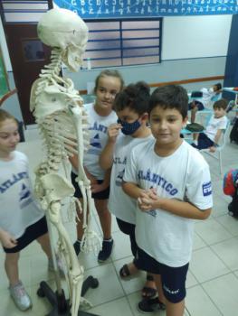 Animais Vertebrados - 3ºano B