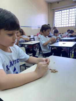 Natural Science - 1ºano