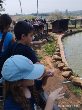 Fazenda Ituau - Terra de Gigantes