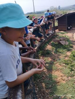 Fazenda Ituau - Terra de Gigantes