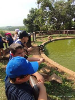 Fazenda Ituau - Terra de Gigantes